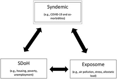 Assuring Healthy Populations During the COVID-19 Pandemic: Recognizing Women's Contributions in Addressing Syndemic Interactions